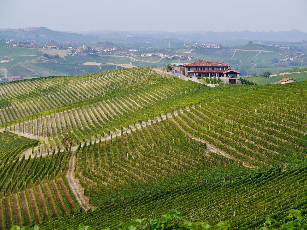 Alta Langa, immagine di vigneti