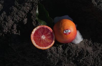 Arancia Rossa di Sicilia Igp
