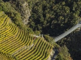 Cantina Terlano, il ponte sospeso verso il Vigneto Vorberg