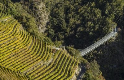 Cantina Terlano, il ponte sospeso verso il Vigneto Vorberg