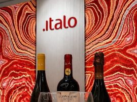 Caviro e Italo: sancito l’accordo