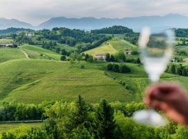 Colline del Prosecco di Conegliano e Valdobbiadene