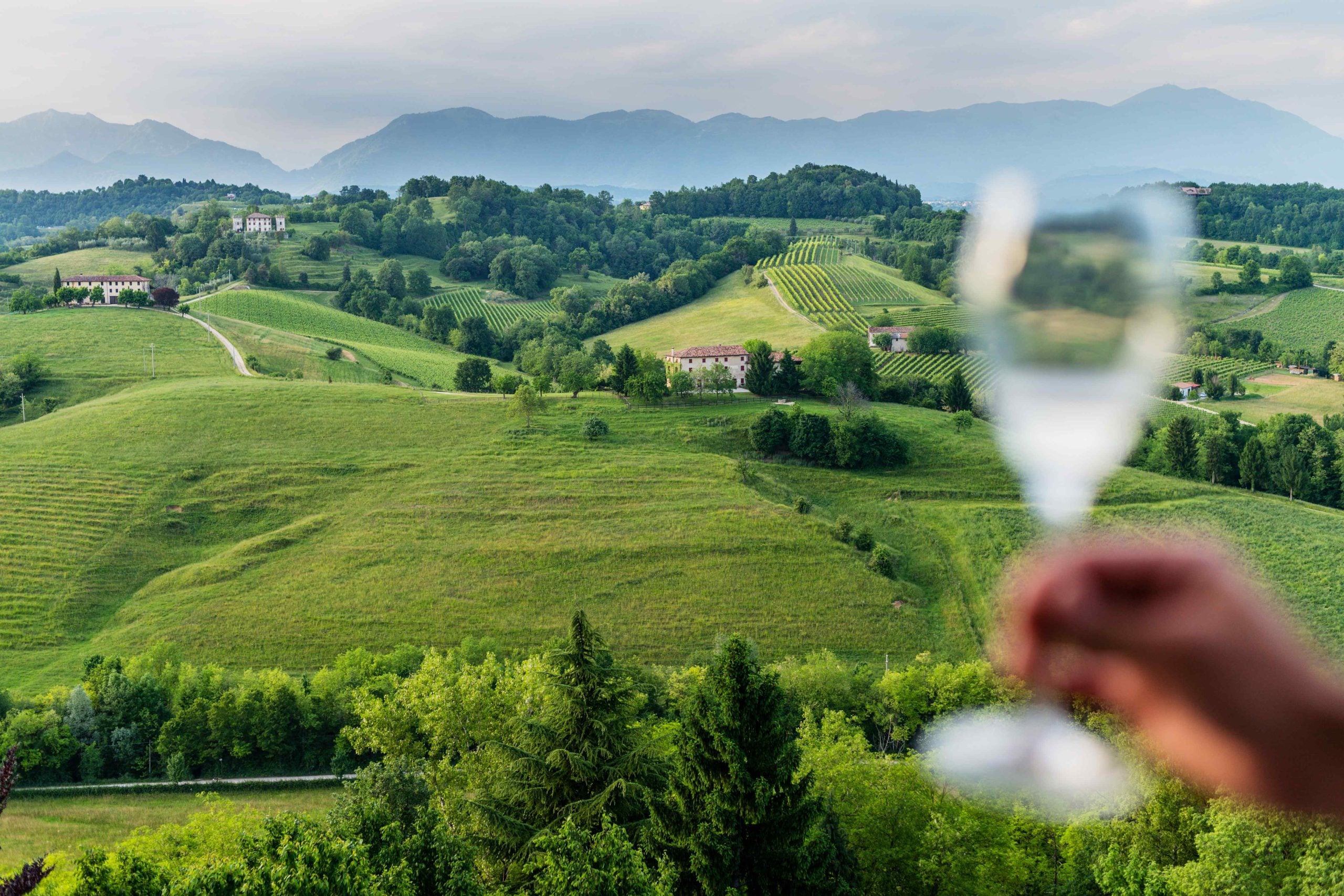 Colline del Prosecco di Conegliano e Valdobbiadene