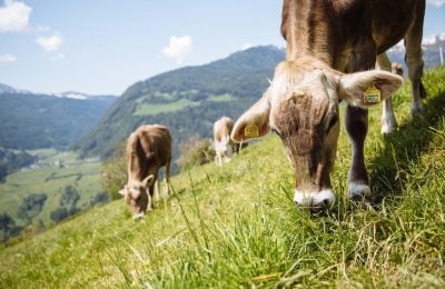 Giornate dello Yogurt in Alto Adige