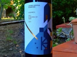 Guerritore Fiano Acquamela – etichetta