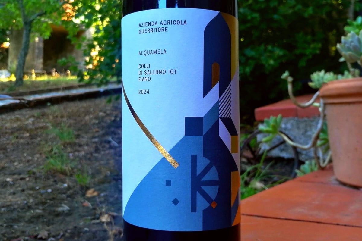 Guerritore Fiano Acquamela – etichetta