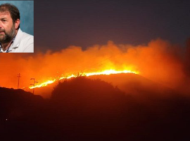 Un bosco in fiamme e Francesco Sottile nel riquadro