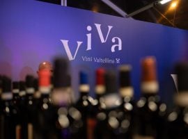 Viva, Vini Valtellina. Una foto di una recente edizione