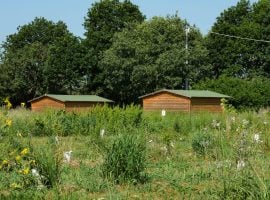 La zona nord dell’oasi Wwf
