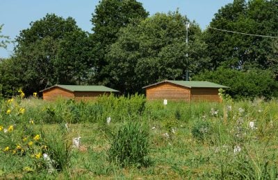 La zona nord dell’oasi Wwf