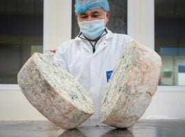 Il Gorgonzola Dop