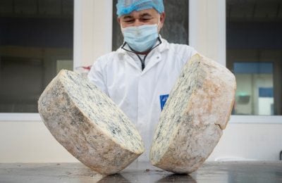 Il Gorgonzola Dop