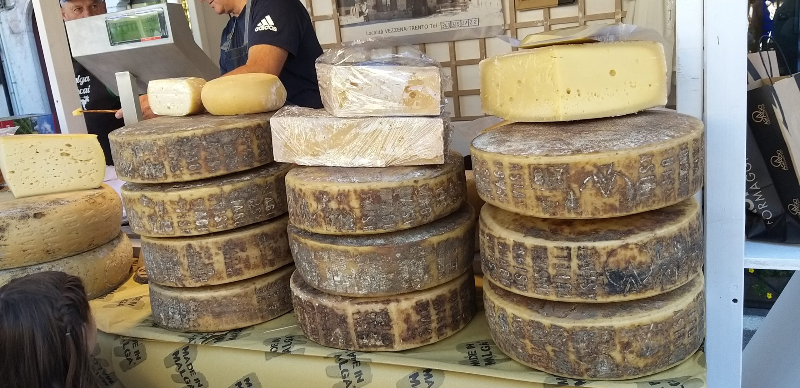 Made in Malga 2026, tutto pronto: foto dei formaggi