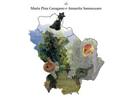 La copertina del libro