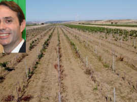 Un campo arido in Sicilia e nel riquadro l’assessore Sammartino