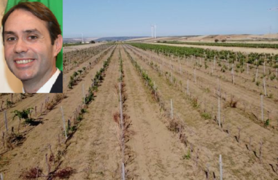 Un campo arido in Sicilia e nel riquadro l’assessore Sammartino