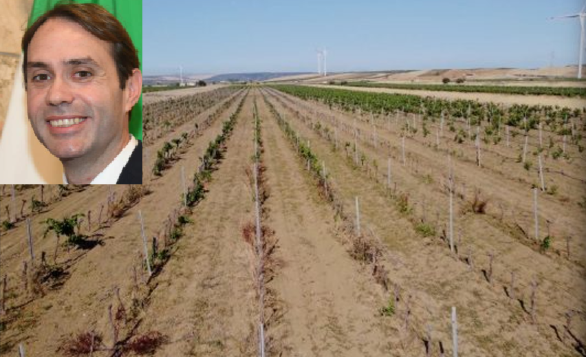 Un campo arido in Sicilia e nel riquadro l’assessore Sammartino