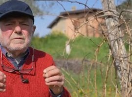 Piero Riccardi nel servizio della puntata di Report del 18 febbraio 2024