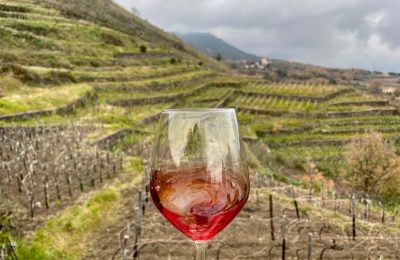 Un calice di vino in un vigneto etneo