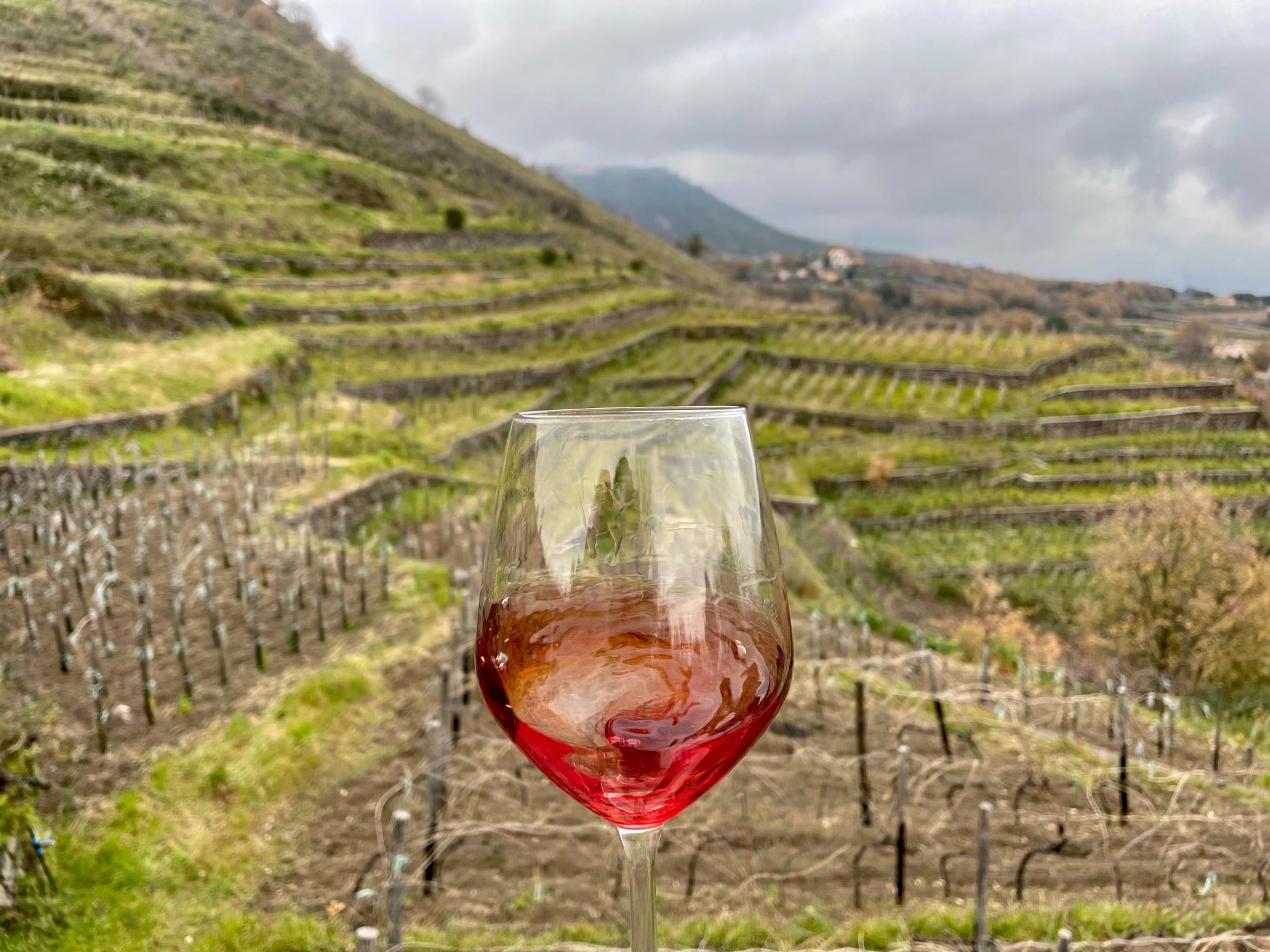Un calice di vino in un vigneto etneo