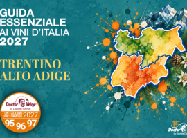 Guida essenziale di vini d’Italia di DoctorWine, svelati i faccini di Alto Adige e Trentino