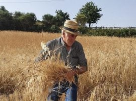 Galati Mamertino diventa un museo a cielo aperto che racconta la cultura agricola dei Nebrodi