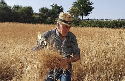 Galati Mamertino diventa un museo a cielo aperto che racconta la cultura agricola dei Nebrodi