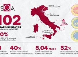 Infografica Csqa
