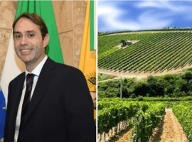 L’assessore Sammartino e un vigneto siciliano
