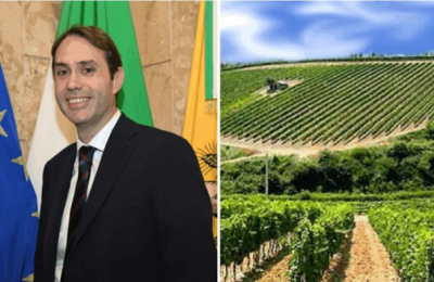 L’assessore Sammartino e un vigneto siciliano