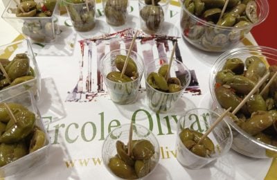 OLlive da Tavola Ercole Olivario