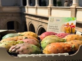 I fichi d’India a Palazzo dei Normanni