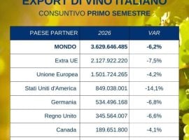 Uiv, i dati export