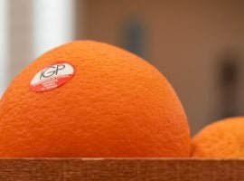 Arancia Rossa di Sicilia IGP con marchio