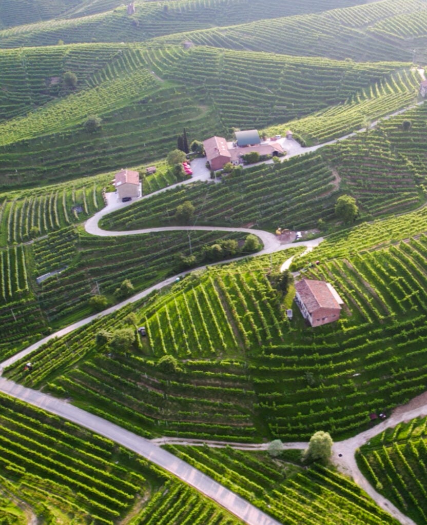 Azienda Ruggeri