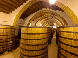 Cantine – foto archivio
