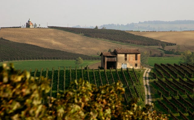 Immagine dei colli piacentini