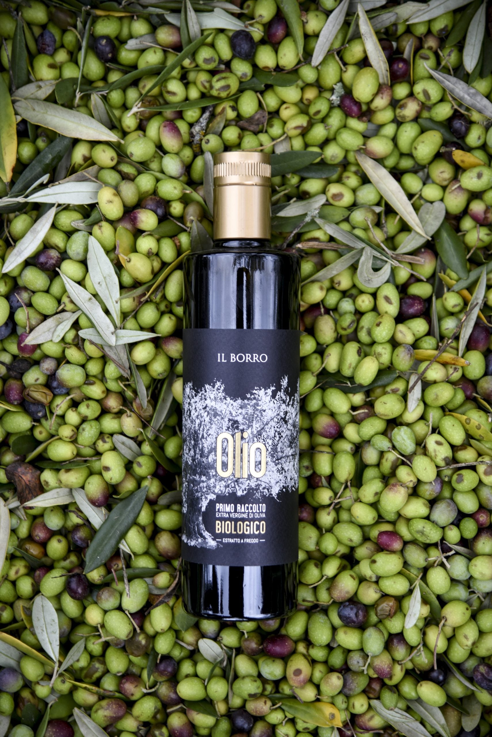 Olio Il Borro – foto Marco Badiani