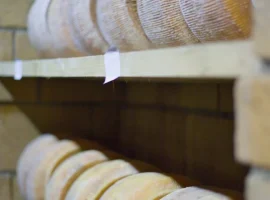 Formaggi in stagionatura