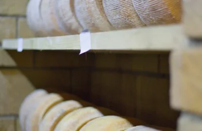 Formaggi in stagionatura