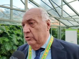 Salvatore Loffreda