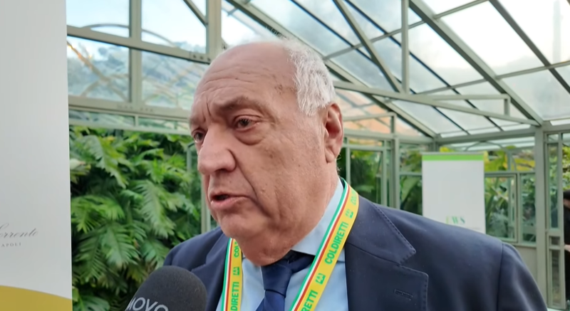 Salvatore Loffreda