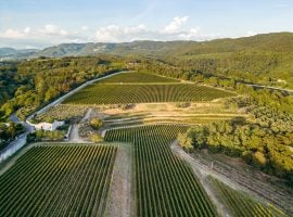 Tenuta Santa Maria – Brolo dei Poeti
