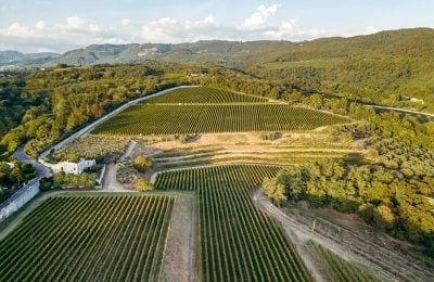 Tenuta Santa Maria – Brolo dei Poeti