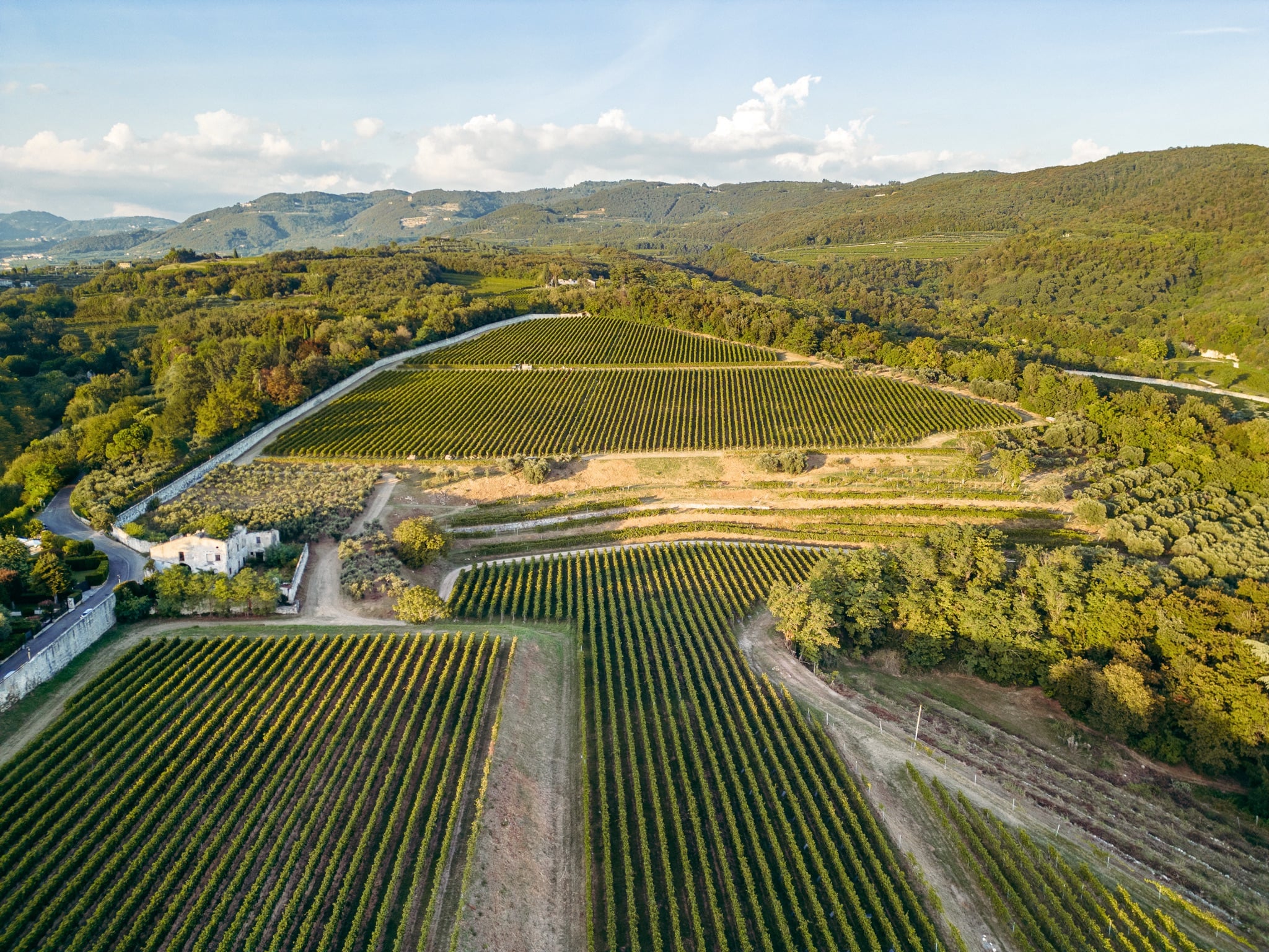 Tenuta Santa Maria – Brolo dei Poeti