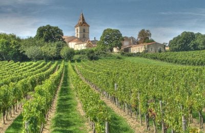 Vigneti a Bordeaux