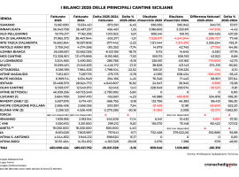 I bilanci 2025, il grafico