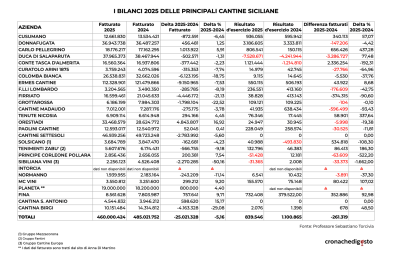 I bilanci 2025, il grafico