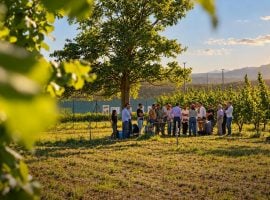 Formazione in un campo di nocciole